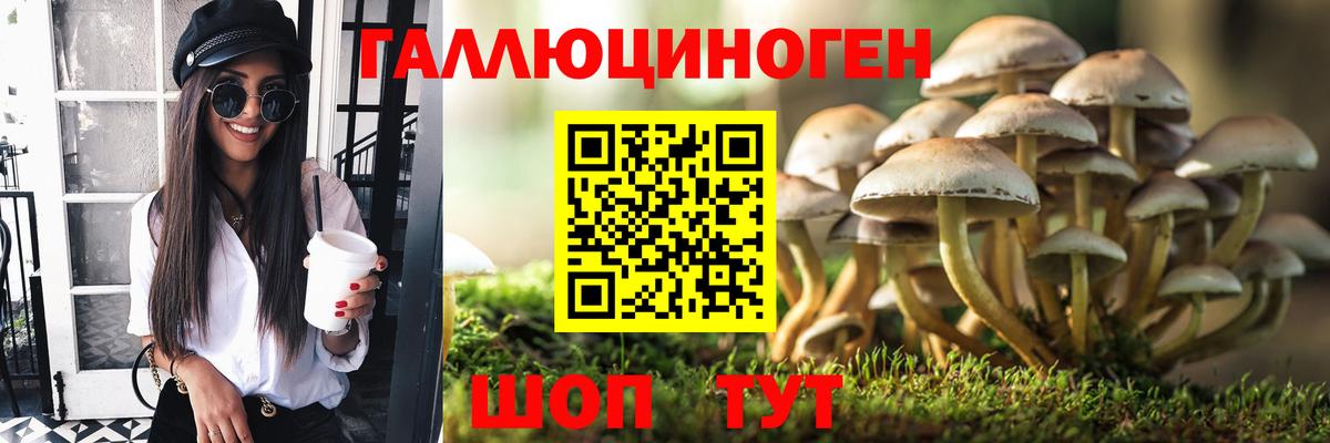 Псилоцибиновые грибы прущие грибы  купить наркоту  Дзержинский  Вход с VPN  Псилоцибиновые грибы мухоморы 